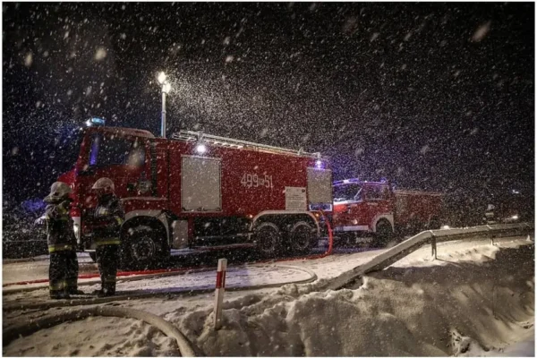 Kolizja samochodu z sarną na DK7 w Jabłonce