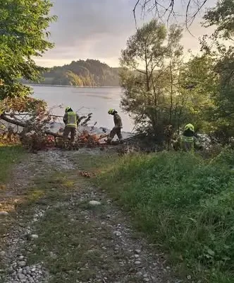 Strażacy z OSP Czorsztyn usunęli powalone drzewo z parku