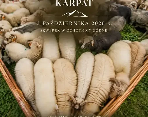 Dzień Karpat w Ochotnicy Górnej – przyroda i pasterstwo w jednym miejscu