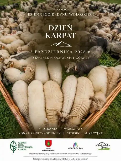 Dzień Karpat w Ochotnicy Górnej – przyroda i pasterstwo w jednym miejscu