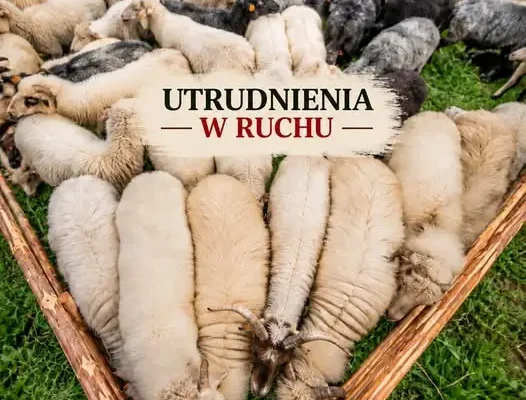 Jesienny Redyk w Ochotnicy Górnej – czasowe zamknięcie drogi w os. Jamne