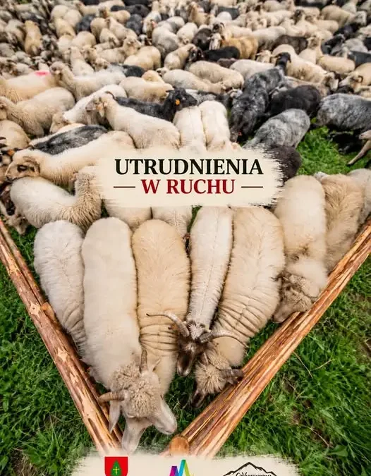 Jesienny Redyk w Ochotnicy Górnej – czasowe zamknięcie drogi w os. Jamne